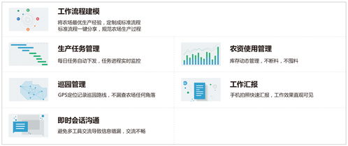 筷農(nóng)再獲殊榮 榮膺2019年深圳市軟件行業(yè)創(chuàng)新產(chǎn)品應(yīng)用軟件服務(wù)大獎